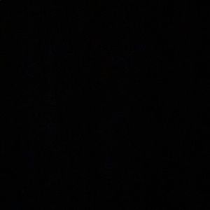 Meet your Posher, Coco